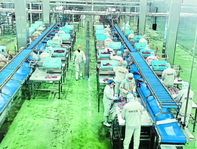 标准引领  冷链锁鲜